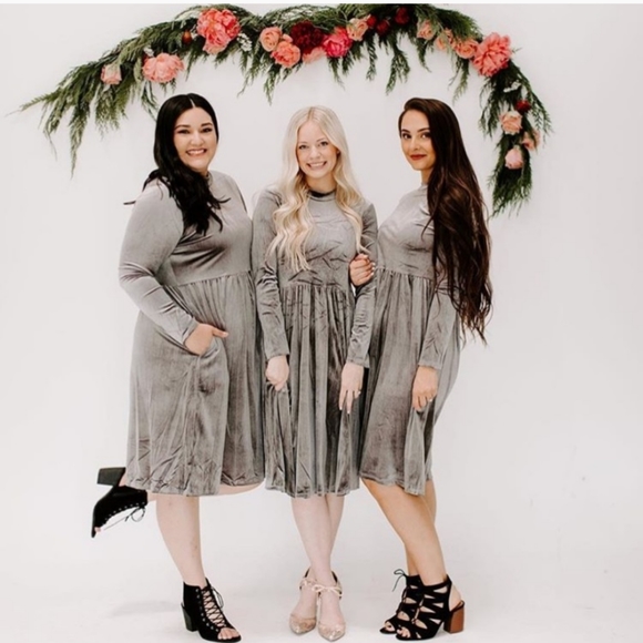 NEW Gorgeous Silver Velvet Ashley Lemeuix Dress - Picture 1 of 4